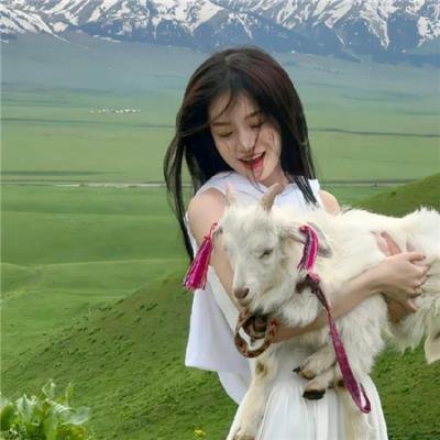诈欺女王
